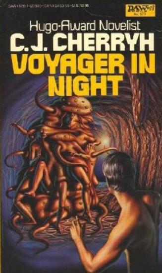 Voyager in Night