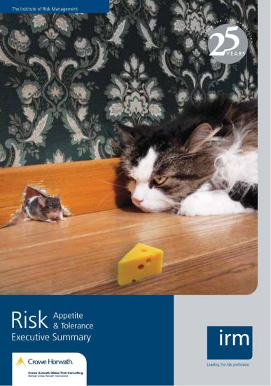 Risk Appetite & Tolerance Executive Summary