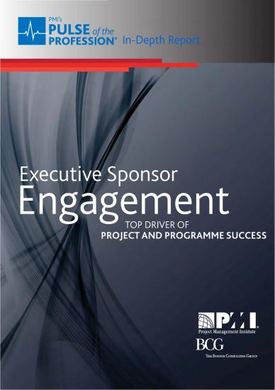 Executive Sponsor Engagement